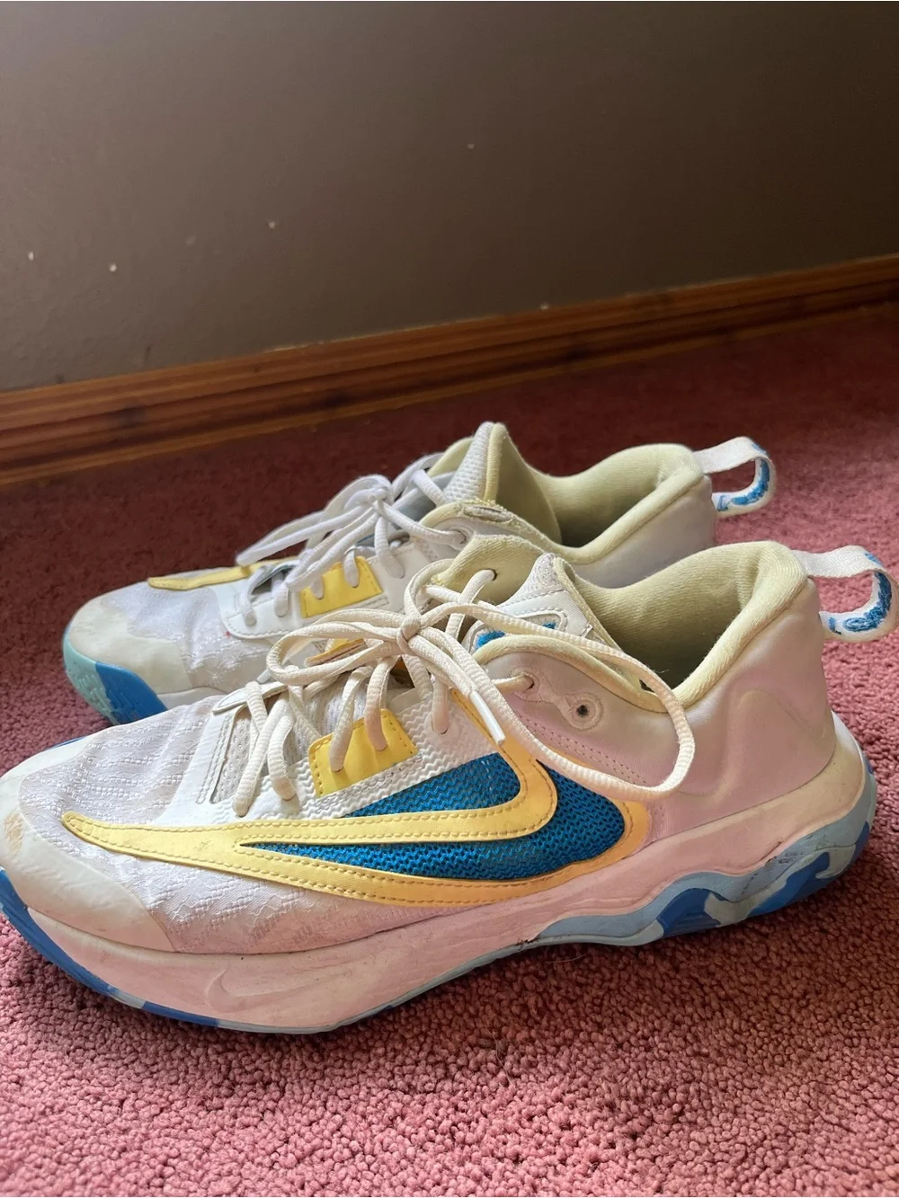 Nike Giannis Immortality Volleyball/Basketball shoes.Some small rips and stains.